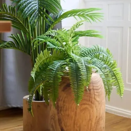 The Location In Downtown *